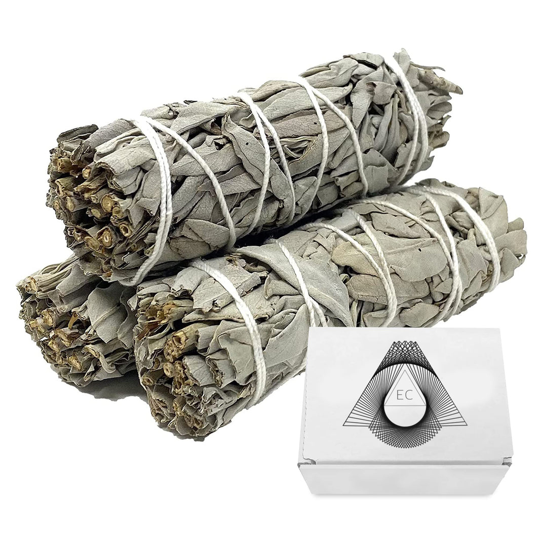 White Sage (x3)